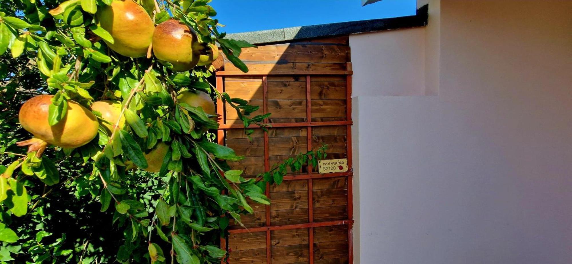 Casa Vacanza Mamaioa Sant'Anna Arresi Bagian luar foto